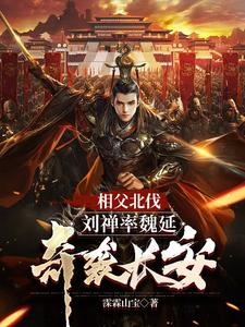三国刘禅之子是谁